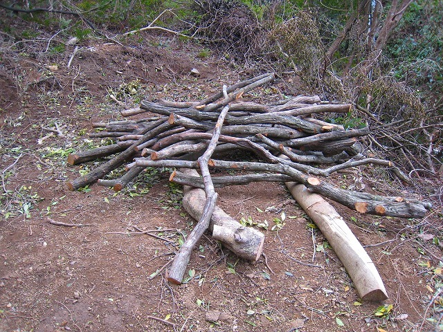 e0002820_22073591.jpg