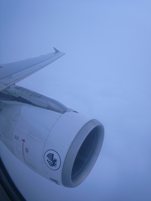 d0098022_20202100.jpg