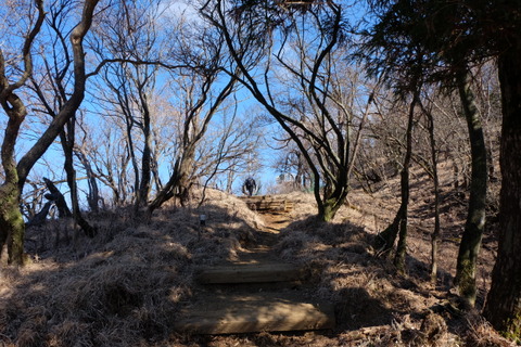 b0281732_8151965.jpg