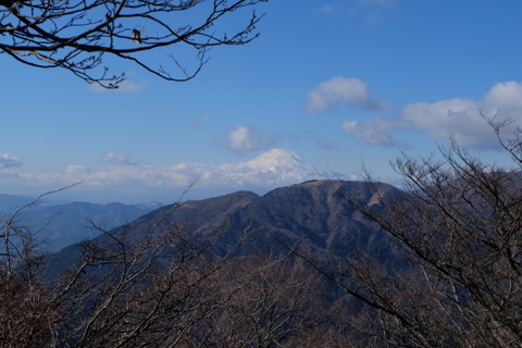 b0281732_8161176.jpg