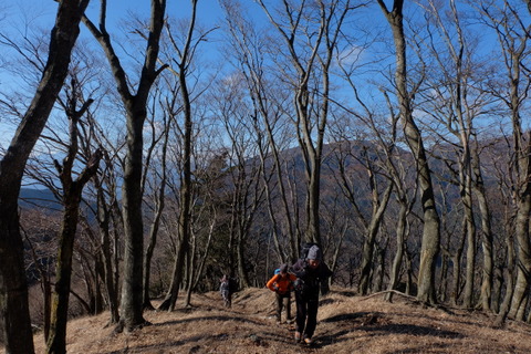b0281732_8163849.jpg