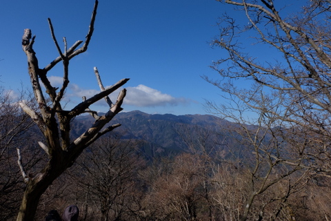 b0281732_816424.jpg