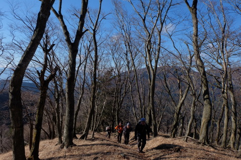 b0281732_8164696.jpg