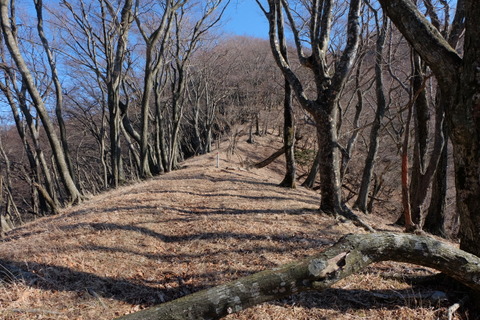 b0281732_8165776.jpg