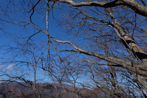 b0281732_8171254.jpg