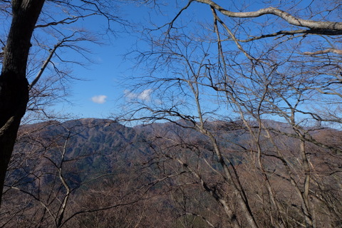 b0281732_8172038.jpg