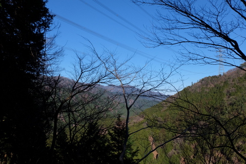 b0281732_8174353.jpg