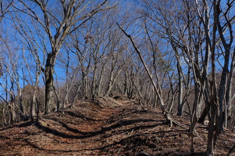 b0281732_817493.jpg
