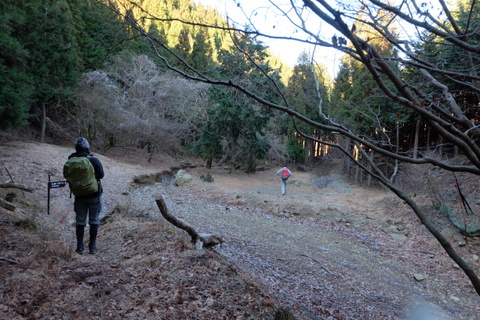b0281732_8185229.jpg