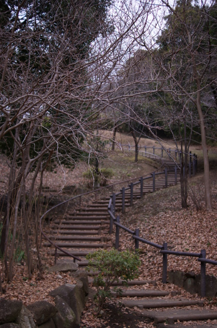a0318033_16405677.jpg