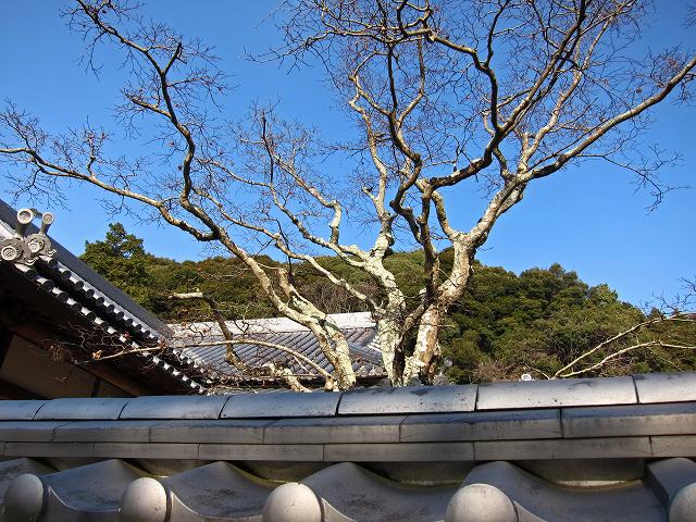 a0242438_18102628.jpg