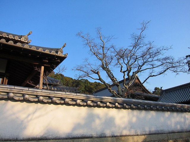 a0242438_1885011.jpg