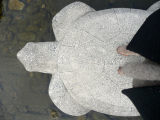 b0325640_1551833.jpg