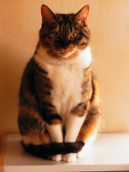 a0305046_09152801.jpg