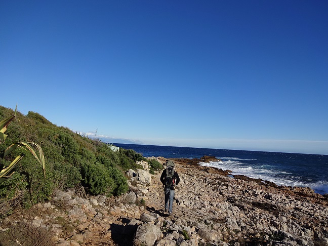 f0194446_21283119.jpg