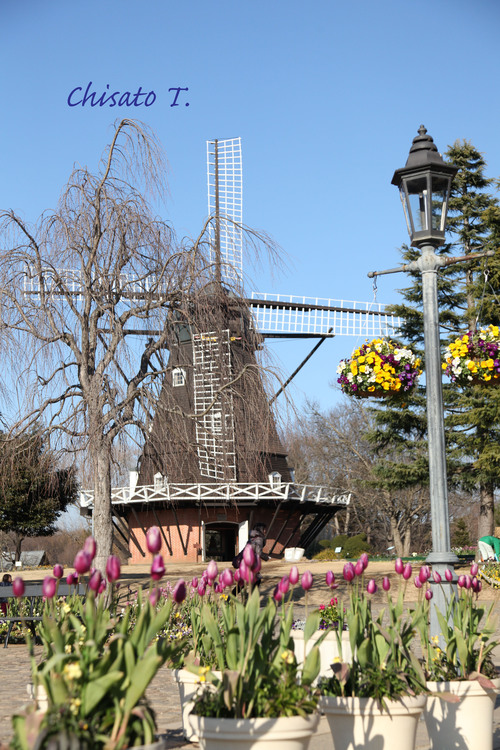 c0163751_1185355.jpg