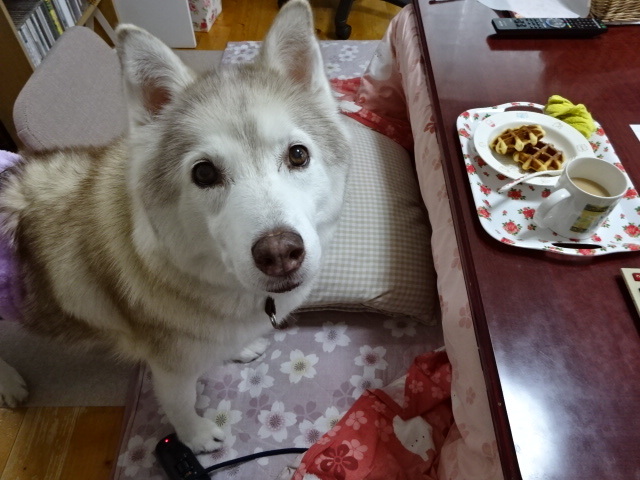 a0241761_15281449.jpg