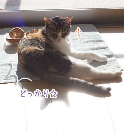 a0119470_23323761.jpg