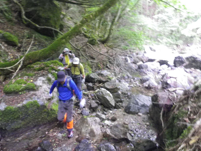 c0002874_8441835.jpg