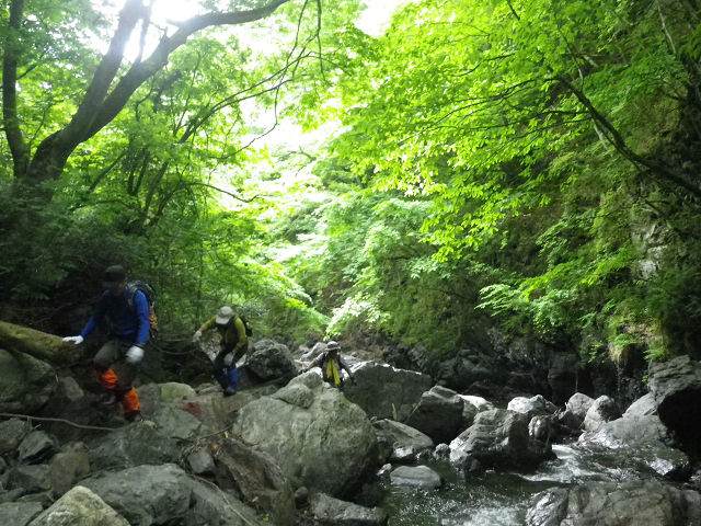 c0002874_8445194.jpg