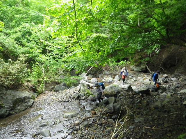 c0002874_847793.jpg