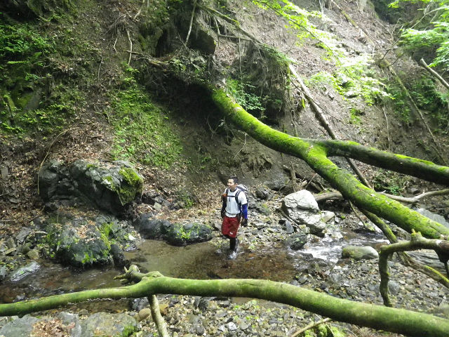 c0002874_848048.jpg