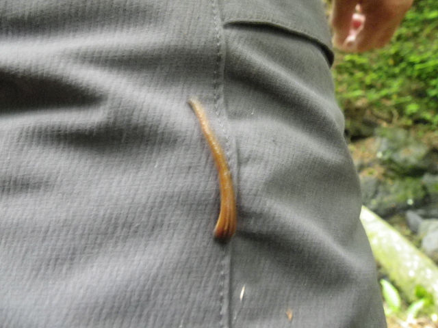 c0002874_8484288.jpg