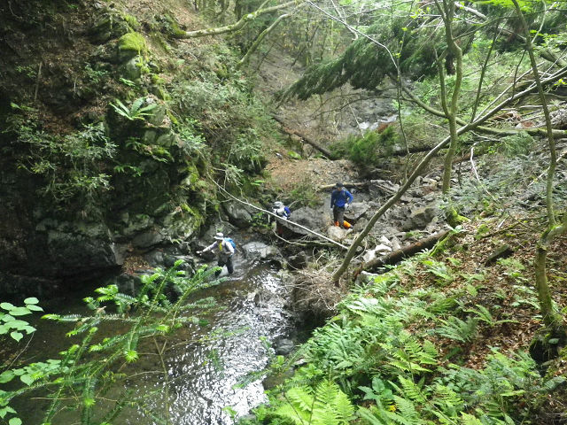 c0002874_8512293.jpg
