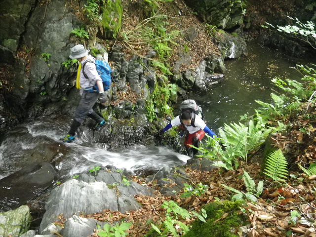 c0002874_8531586.jpg