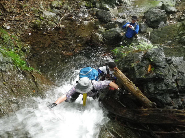 c0002874_8545398.jpg