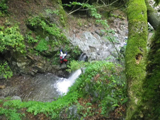 c0002874_8561499.jpg