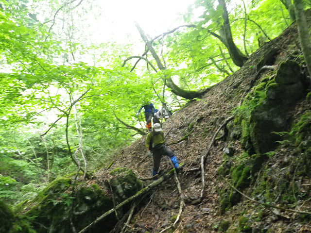 c0002874_857759.jpg