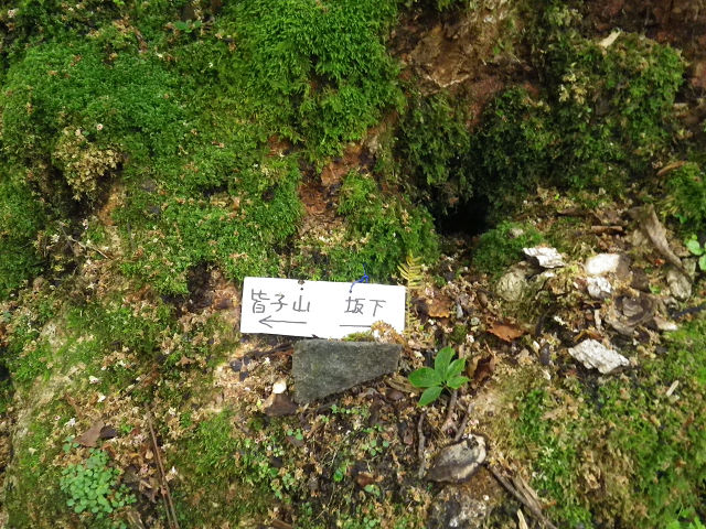 c0002874_8591662.jpg
