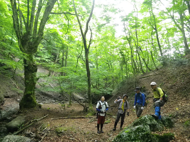 c0002874_901185.jpg
