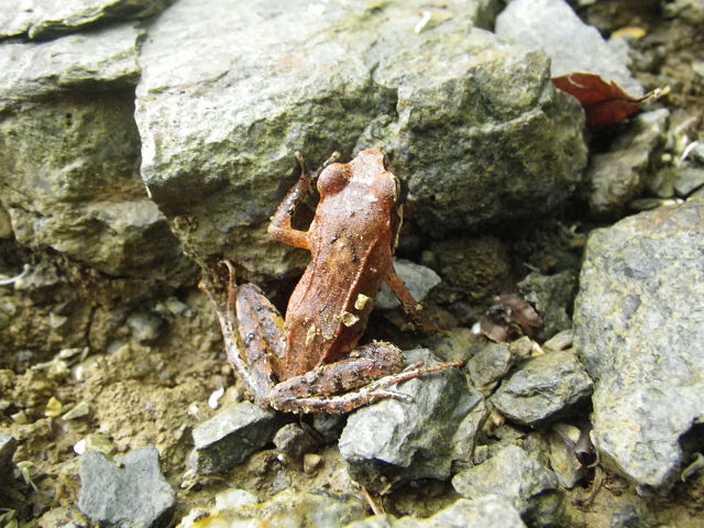c0002874_9142752.jpg