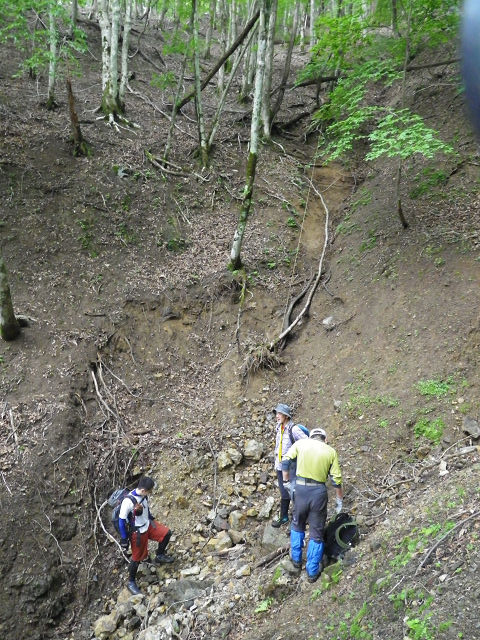 c0002874_925181.jpg
