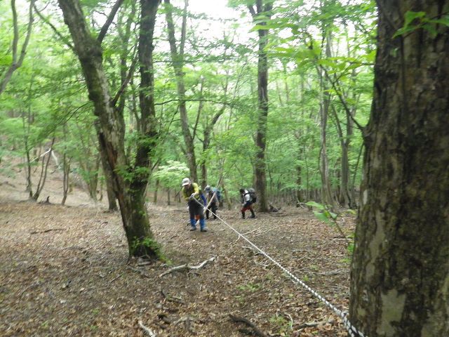 c0002874_952460.jpg