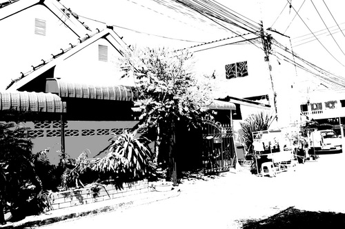 a0002177_13304925.jpg