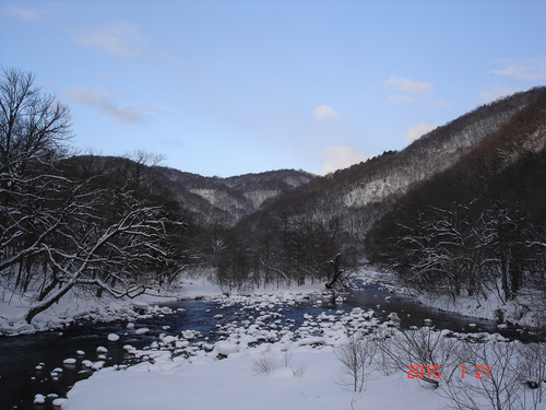 d0165378_12342421.jpg