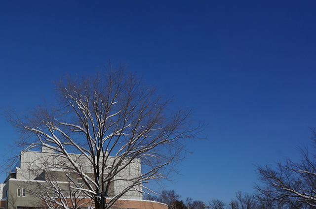 b0108779_10250014.jpg