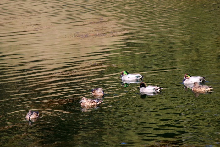 a0127090_2236188.jpg
