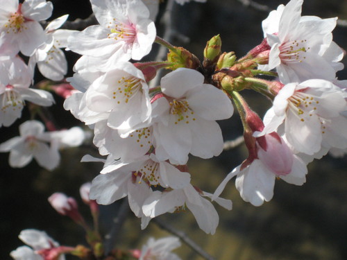 f0201297_22535684.jpg