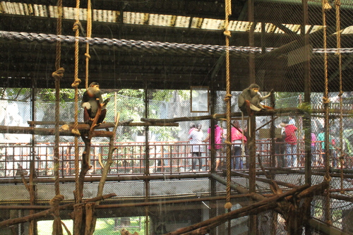 f0233916_1221149.jpg