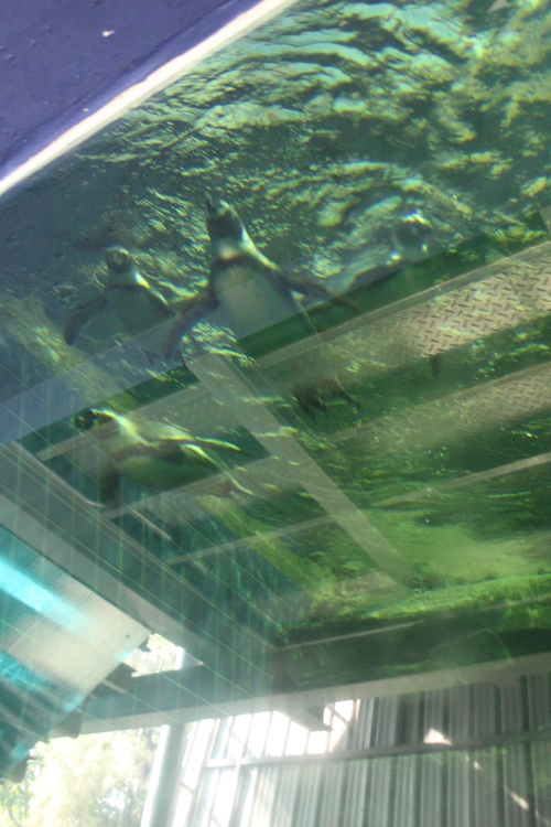 f0233916_144351.jpg