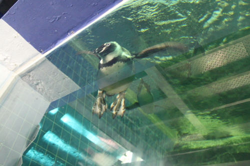 f0233916_164867.jpg