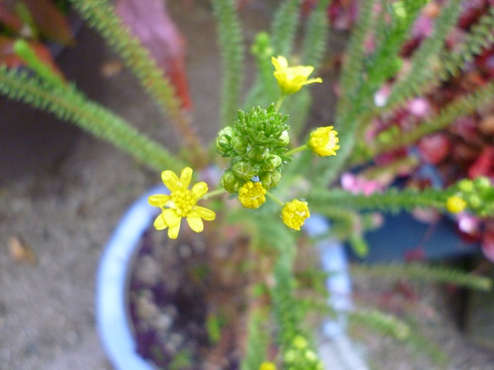 f0228619_15354113.jpg