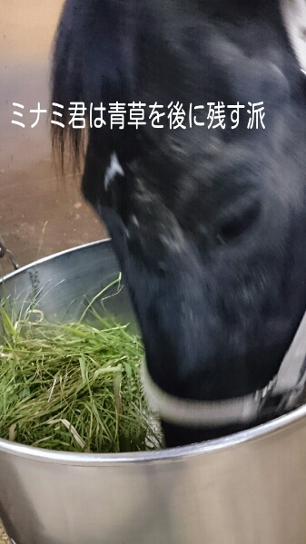 b0187620_20391491.jpg