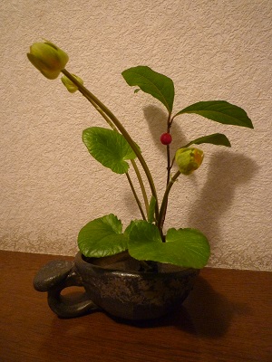 f0031420_10182026.jpg