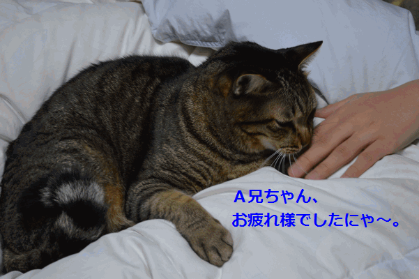 c0136736_15494861.gif