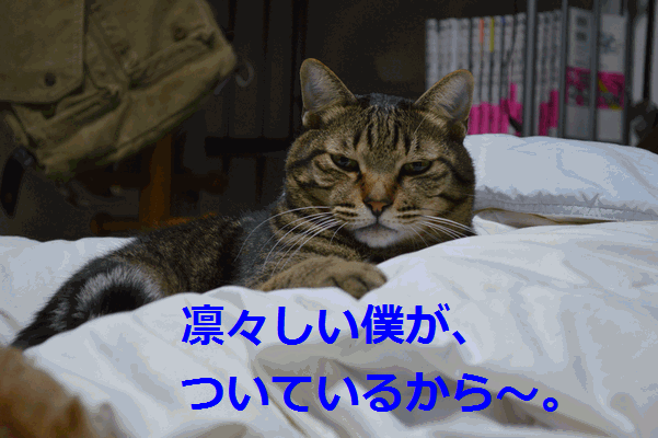 c0136736_15505690.gif